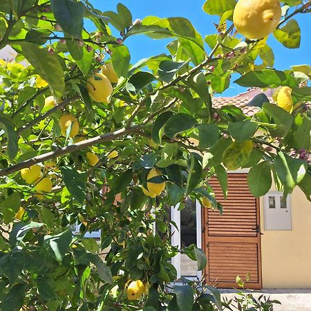 Apartment Olga روفينج المظهر الخارجي الصورة
